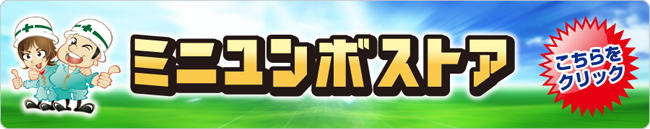 ミニユンボストア